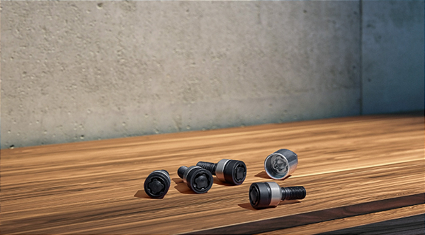 Protecção anti-roubo para jantes