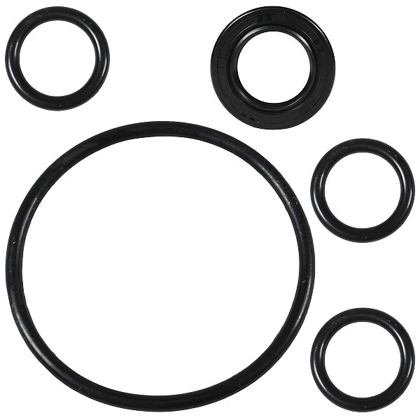 Kit reparo retentor virabrequim esquerdo magneto CG125 1977 a 2008 ML125 XLR125 22X35X7