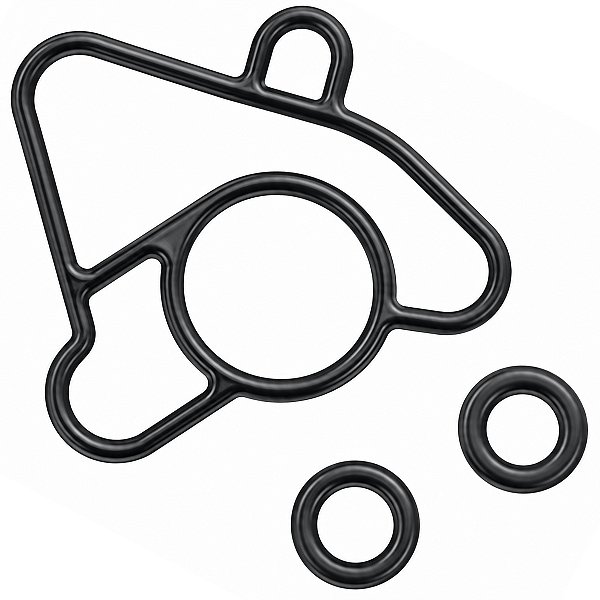 Kit retentor reparo tbi injeção anel vedação Biz125 CG150 Cargo Fan Titan Start NXR150 Bros 2009 a 2015