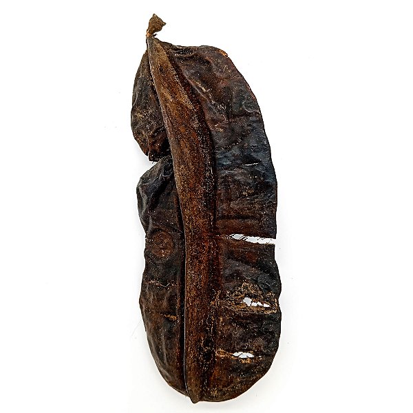 Fava Aridan Semente Aridã Ritualistica