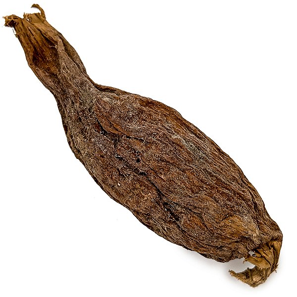 Fava Atare Semente Ritualistica