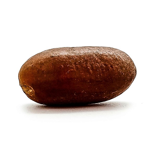 Fava Orio Semente Ritualistica
