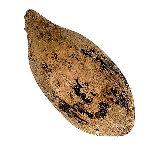 Fava Ifá Semente Ritualistica