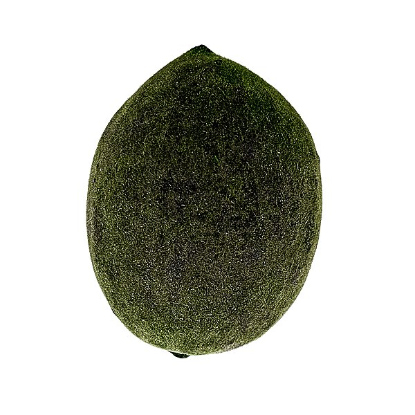 Fava Oxossi Aveludada Semente Ritualistica