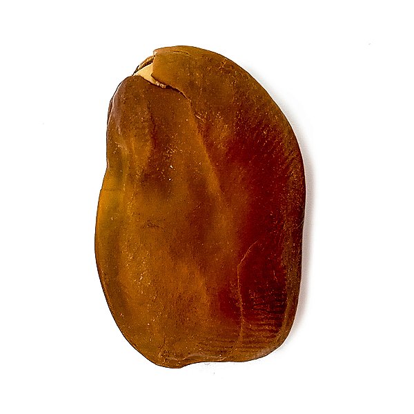 Fava da União Iansã Oyá Semente Ritualistica