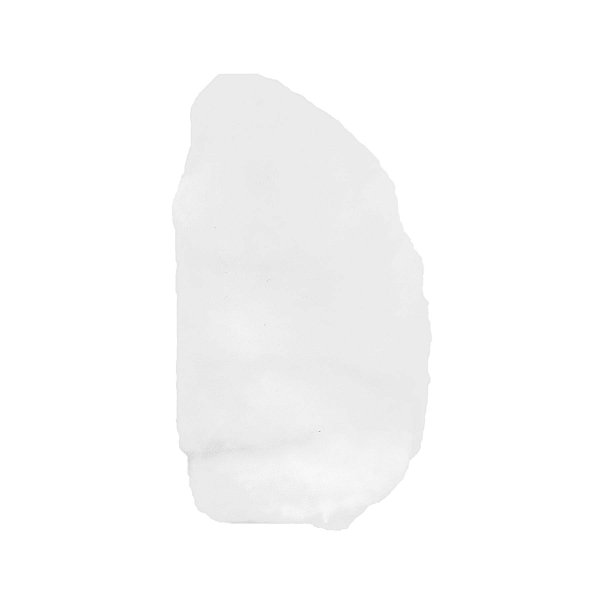 Fava Iemanjá Semente Ritualistica