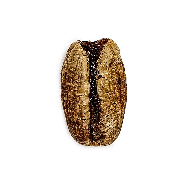 Fava Abre Caminho Semente Ritualistica