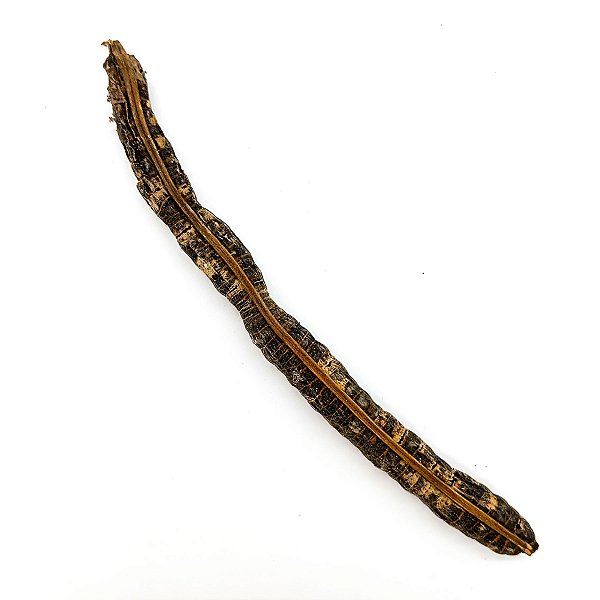 Fava Nanã Semente Ritualistica