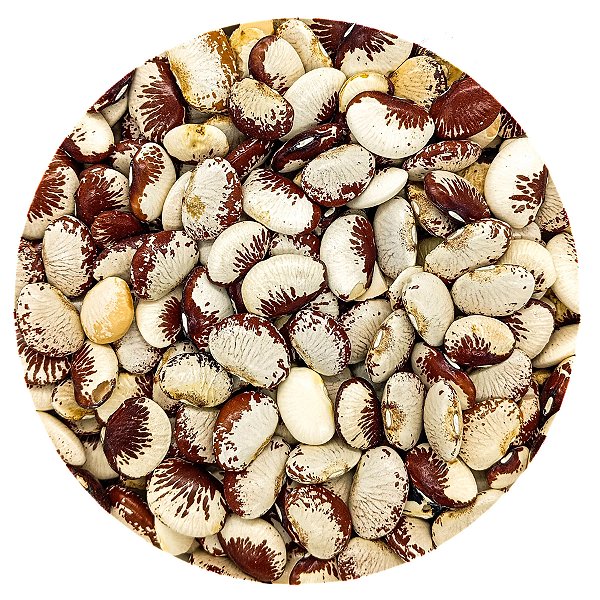 Grão De Feijão Fava Rajada Graúda 500G A Granel