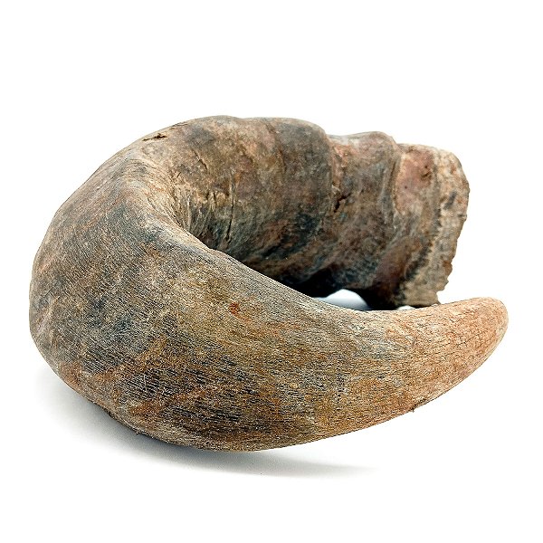 Chifre De Bufalo Bruto Natural Iansã Oyá