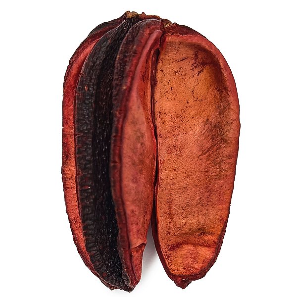 Fava Amarração Semente Do Amor Ritualistica 1Un