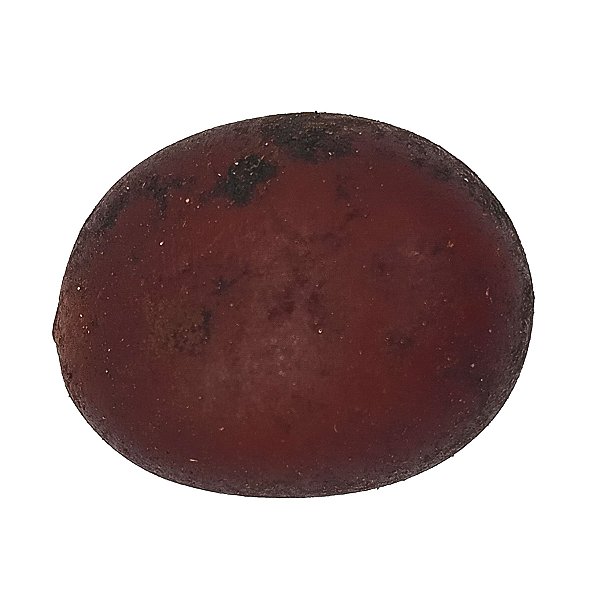 Fava Xangô Semente Ritualistica 1Un