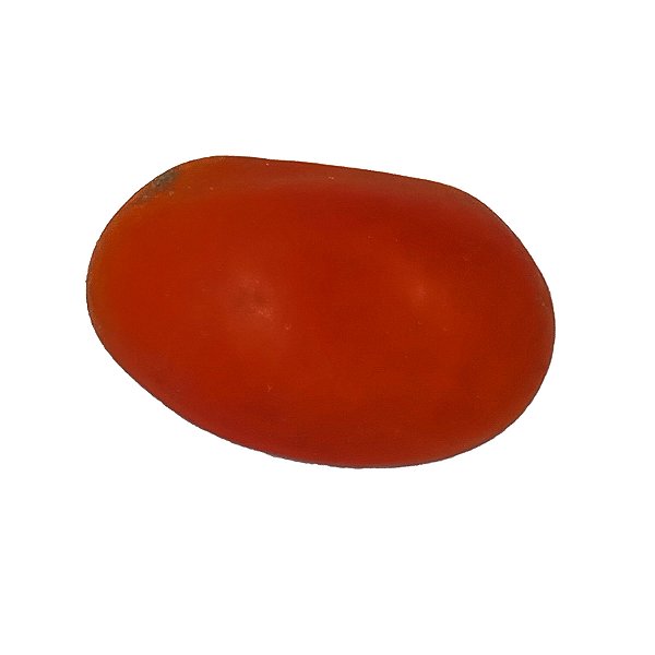 Fava Mulungu Vermelho Semente Ritualistica 1Un