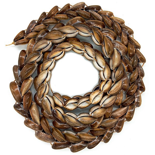 Guia Trança Fio De Búzios Africanos Búzio Terra P/ Brajá