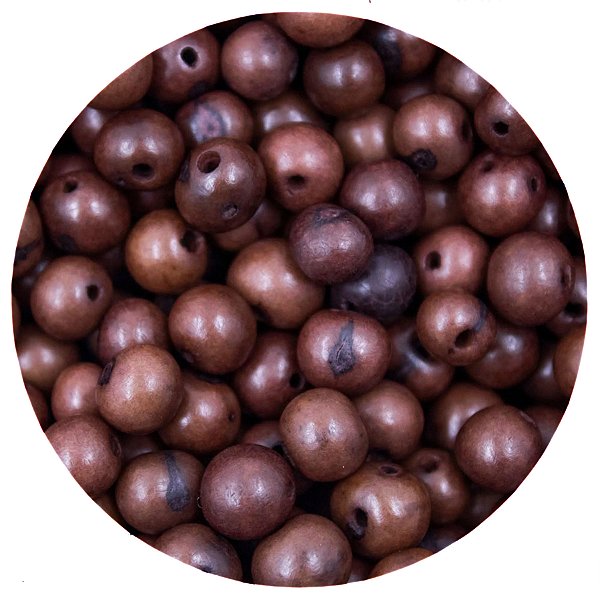 Pacote 50un C/ Furo Semente de Açaí