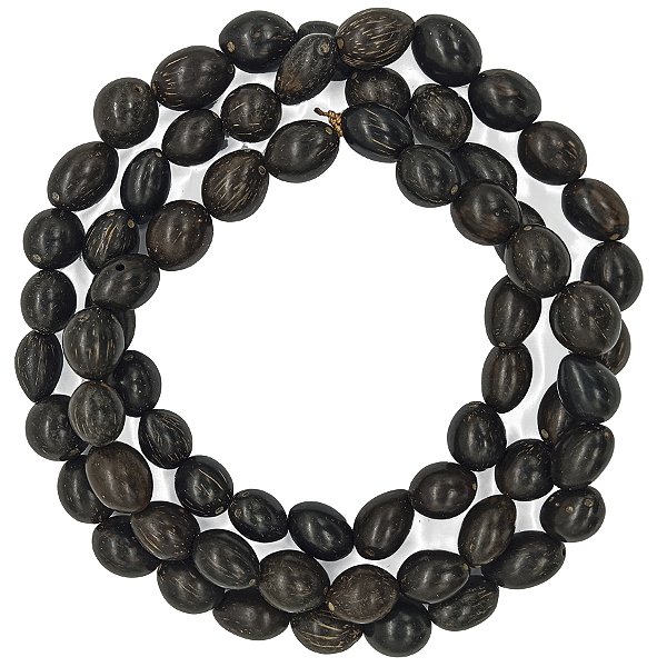 Guia De Coquinho Natural Tratado Envernizado e Lustrado