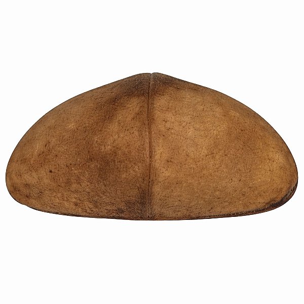 Fava Chapéu Napoleão Semente Ritualística 1Un