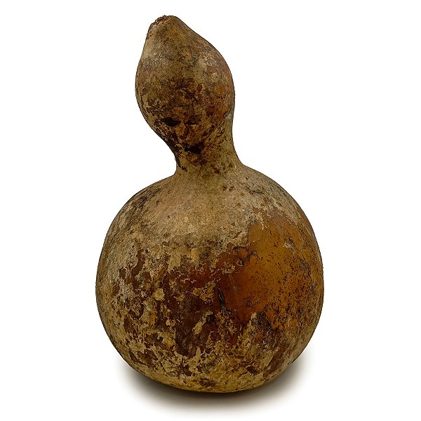 Cabaça Porongo Extra Grande Cuia Purunga Natural