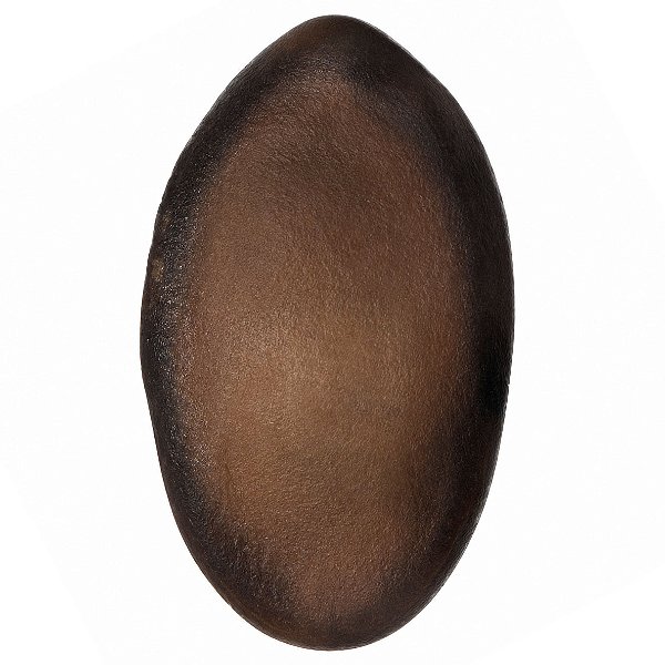 Fava Divina Semente Divino Ritualística 1Un