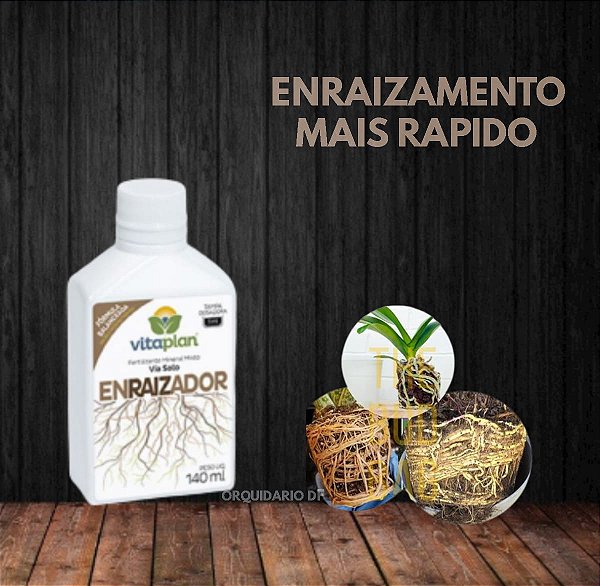 Enraizador