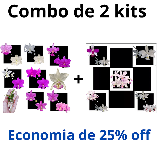Combo Kits de Orquídeas - Codígo 1004