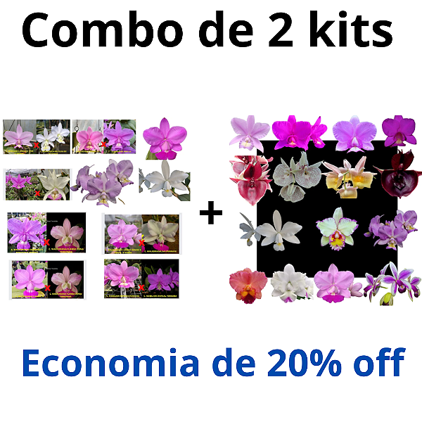 Combo Kits de Orquídeas - Codígo 1005