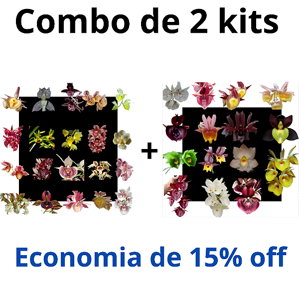 Combo Kits de Orquídeas - Codígo 1007