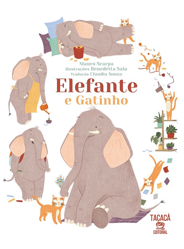 Elefante e Gatinho