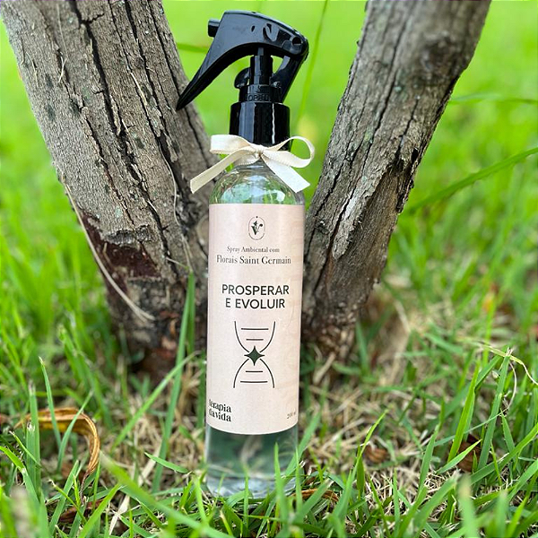 Spray Ambiental - Prosperidade 200ml