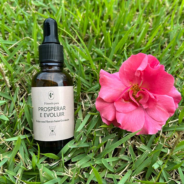 Floral para Prosperidade 30ml
