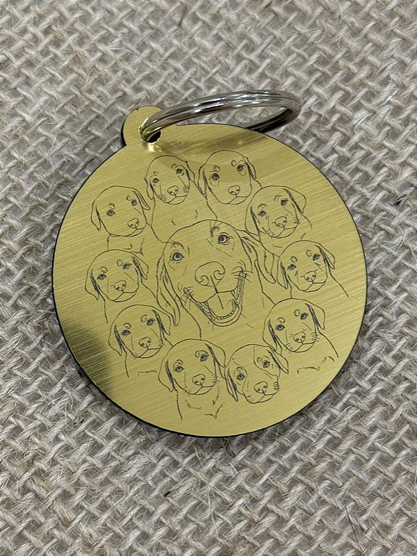 CHAVEIRO THUNDERDOGS