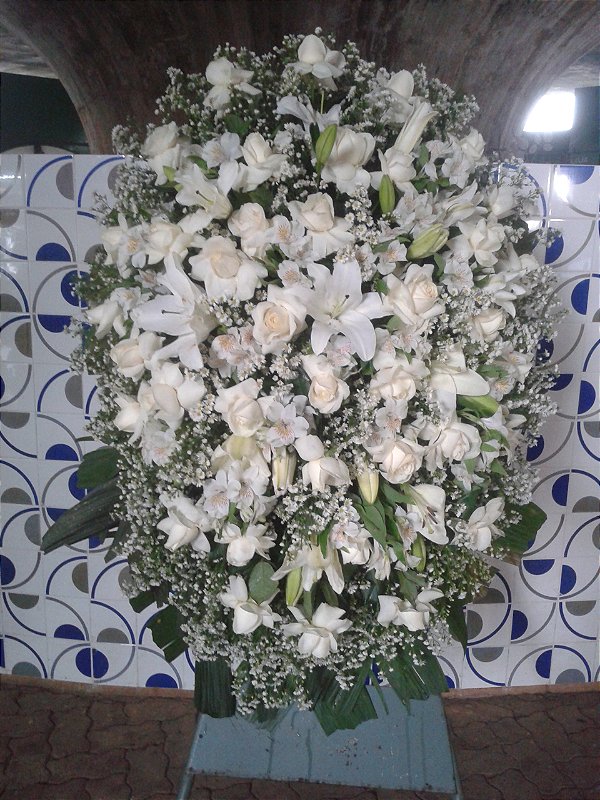 Coroa Media bsb 01