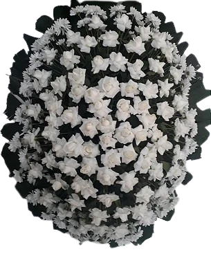 Coroa Presidencial 01