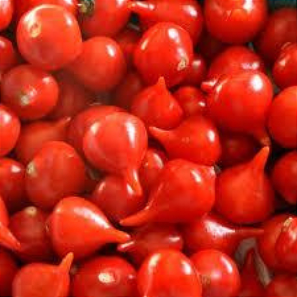 Pimenta Biquinho – A Granel (Venda por Kg)