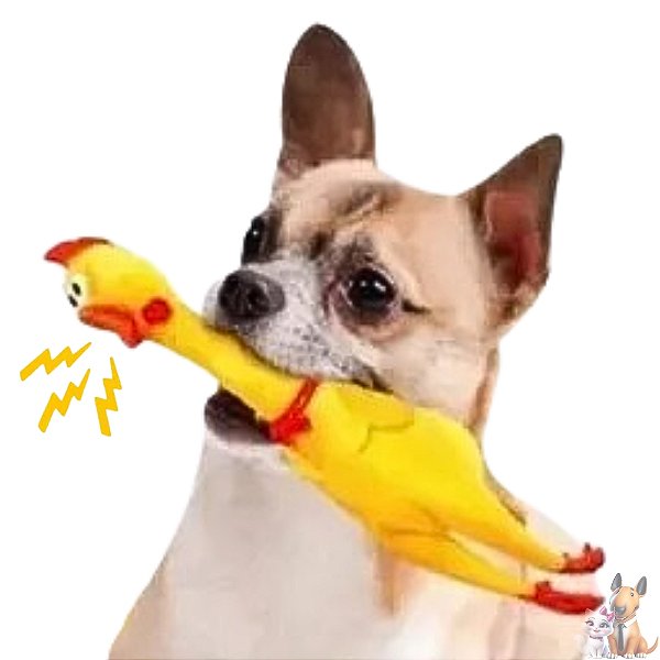Brinquedo Mordedor de Borracha Frango com Apito Som e textura para Cães - Tam P