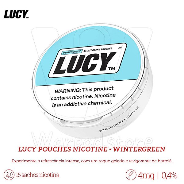 Pouches de Nic Lucy 4mg - Wintergreen