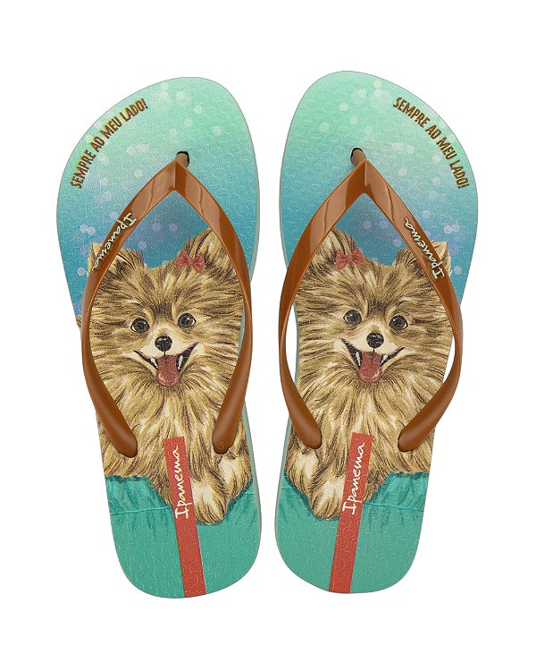 Chinelo Ipanema Pets Pop