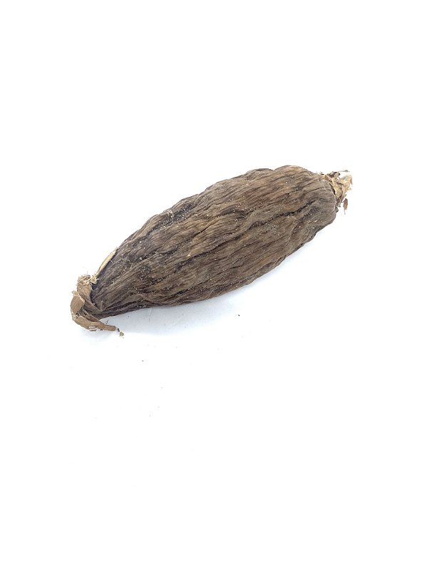 Fava de pimenta da costa