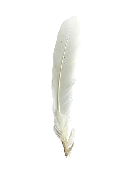 Pena de Lekeleke (Pena Branca)