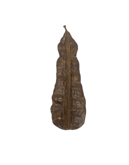 Fava de Airidã