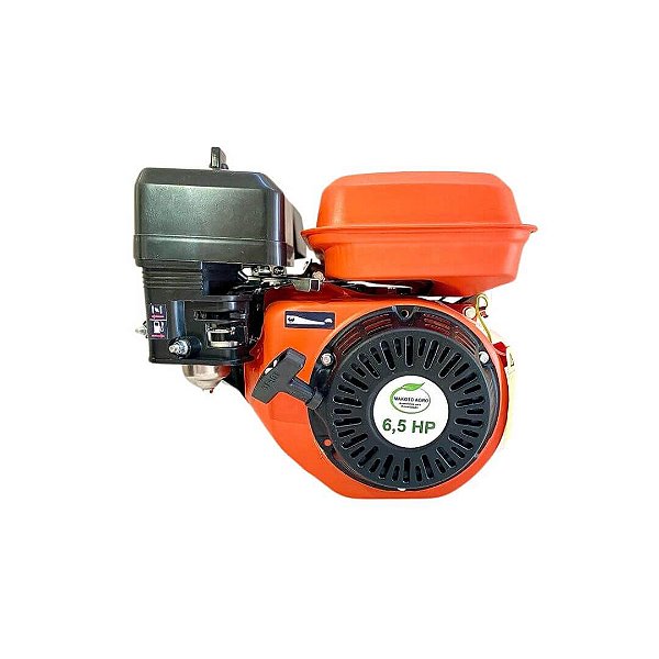 Motor Estacionário 6,5 HP