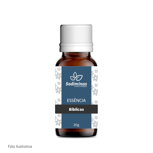 Essência Bíblica Aloés