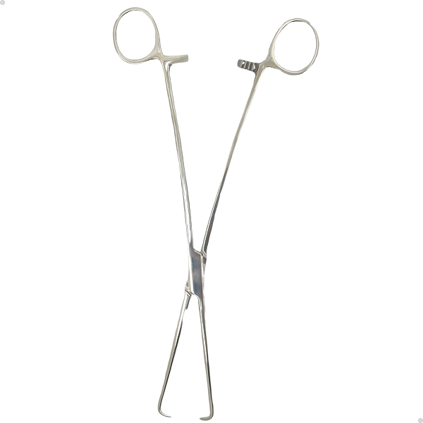 Pinça Pozzi Cirúrgica Em Aço Inox 24cm Para Colo Uterino ABC - RXB ...
