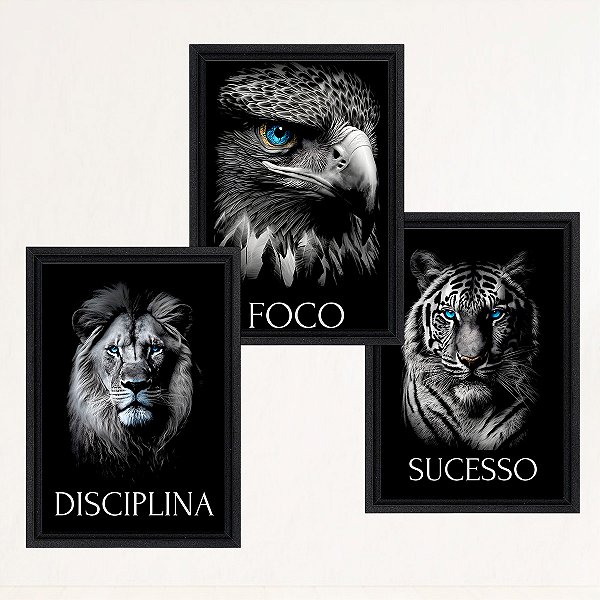 "Disciplina, Foco, Sucesso" - Kit 3 quadros em Canvas com moldura flutuante