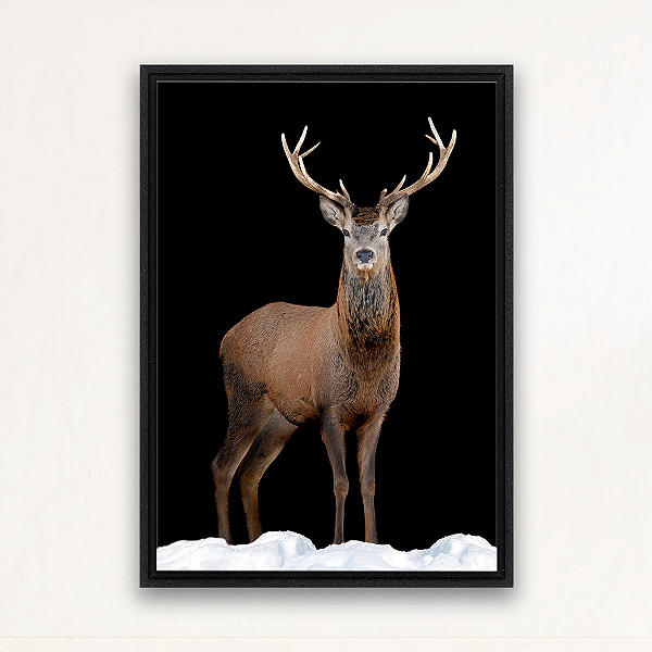 "Majestade Invernal"- Quadro em Canvas com moldura flutuante.