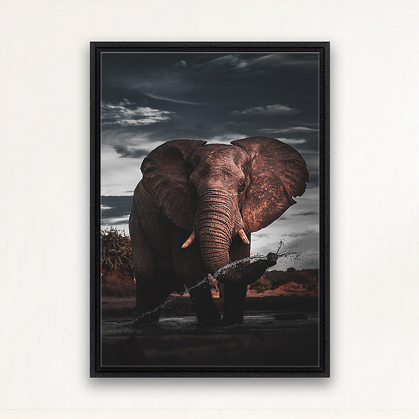 "Força da Savana"- Quadro em Canvas com moldura flutuante.