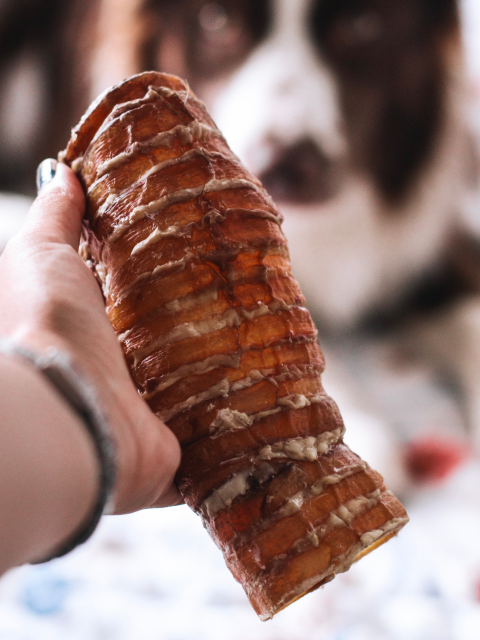 Natuka Traqueia Bovina