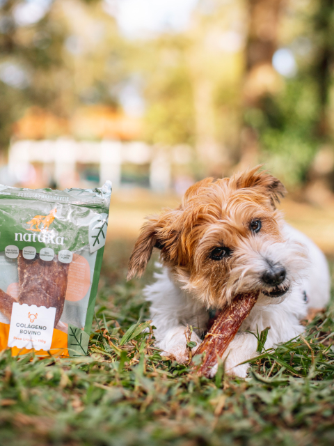 Natuka Stix
