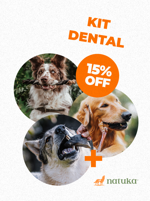 Natuka Kit Dental
