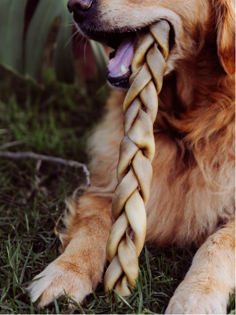 Natuka Trança Bovina Sem Pelos